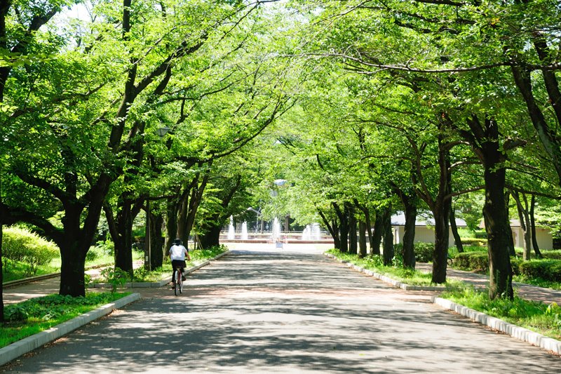 府中の森公園