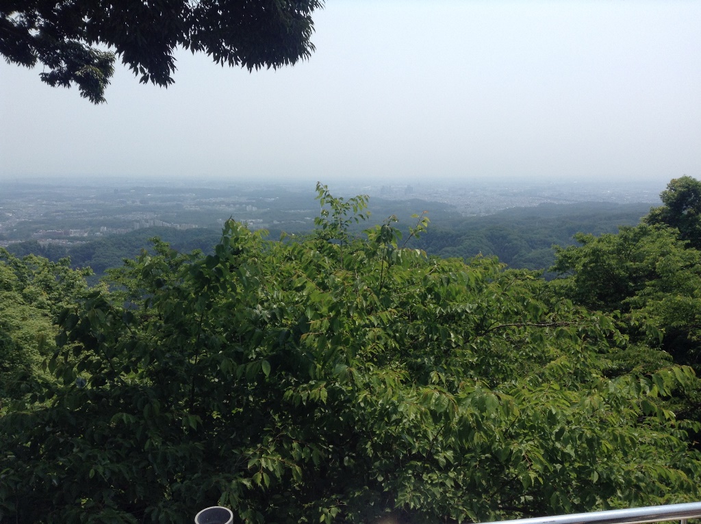 高尾山ハイキングの様子④