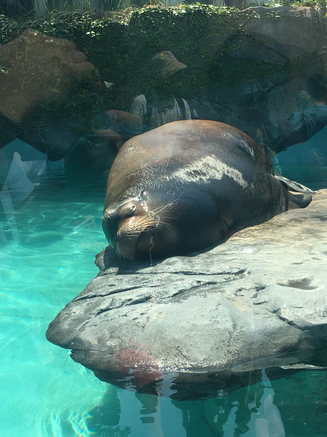 楽しそうな寮生たち