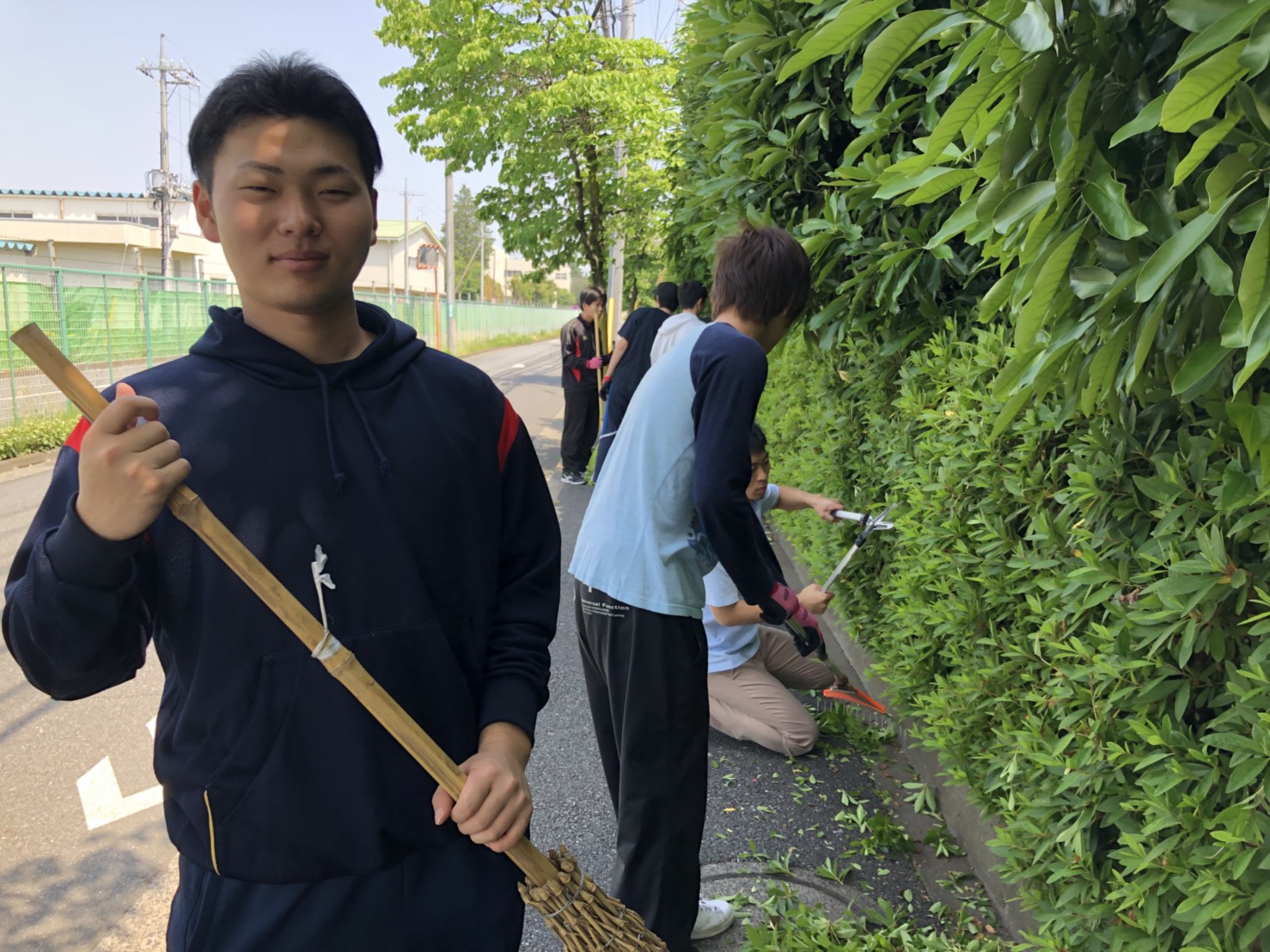 植木剪定作業の様子