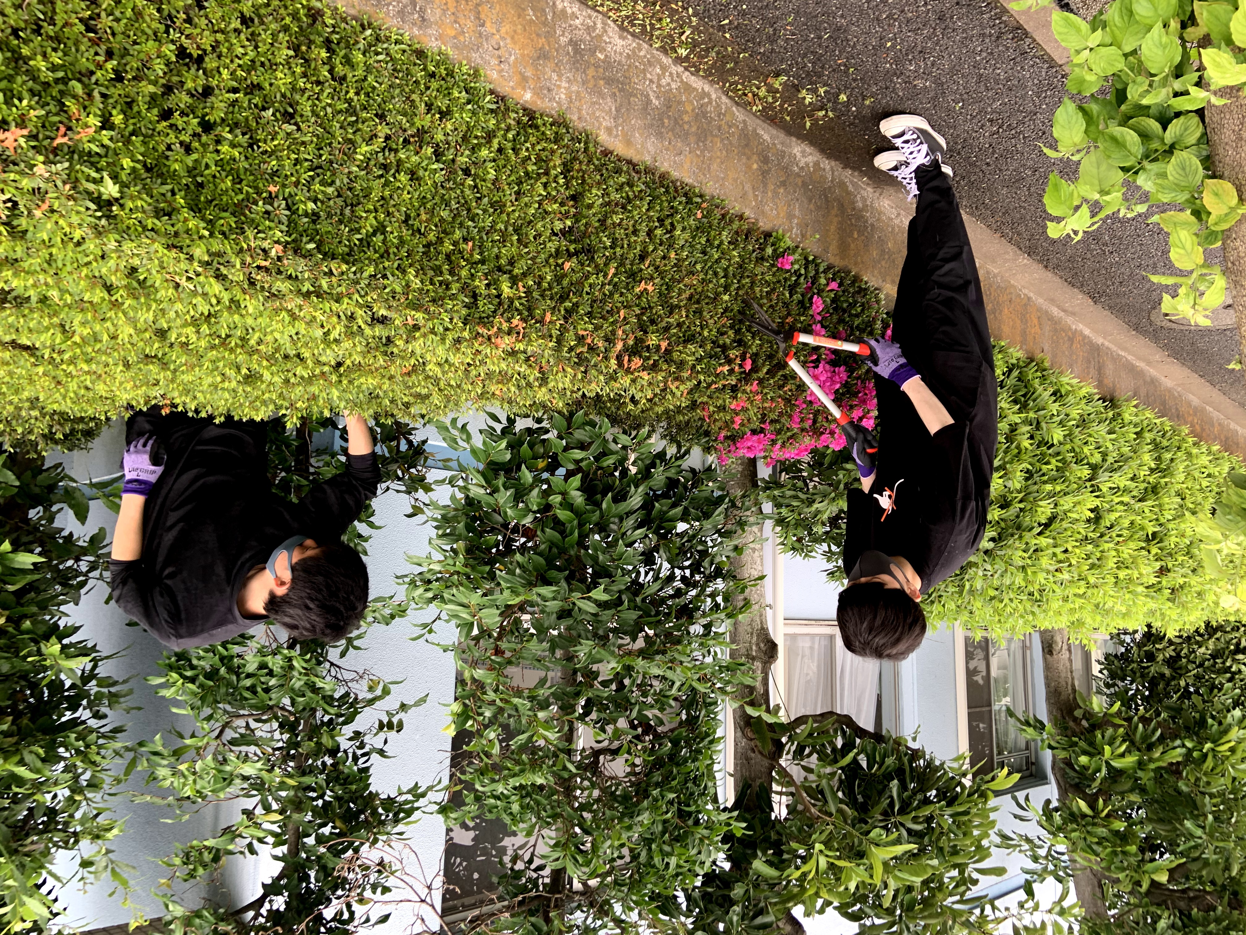 高さを揃える作業