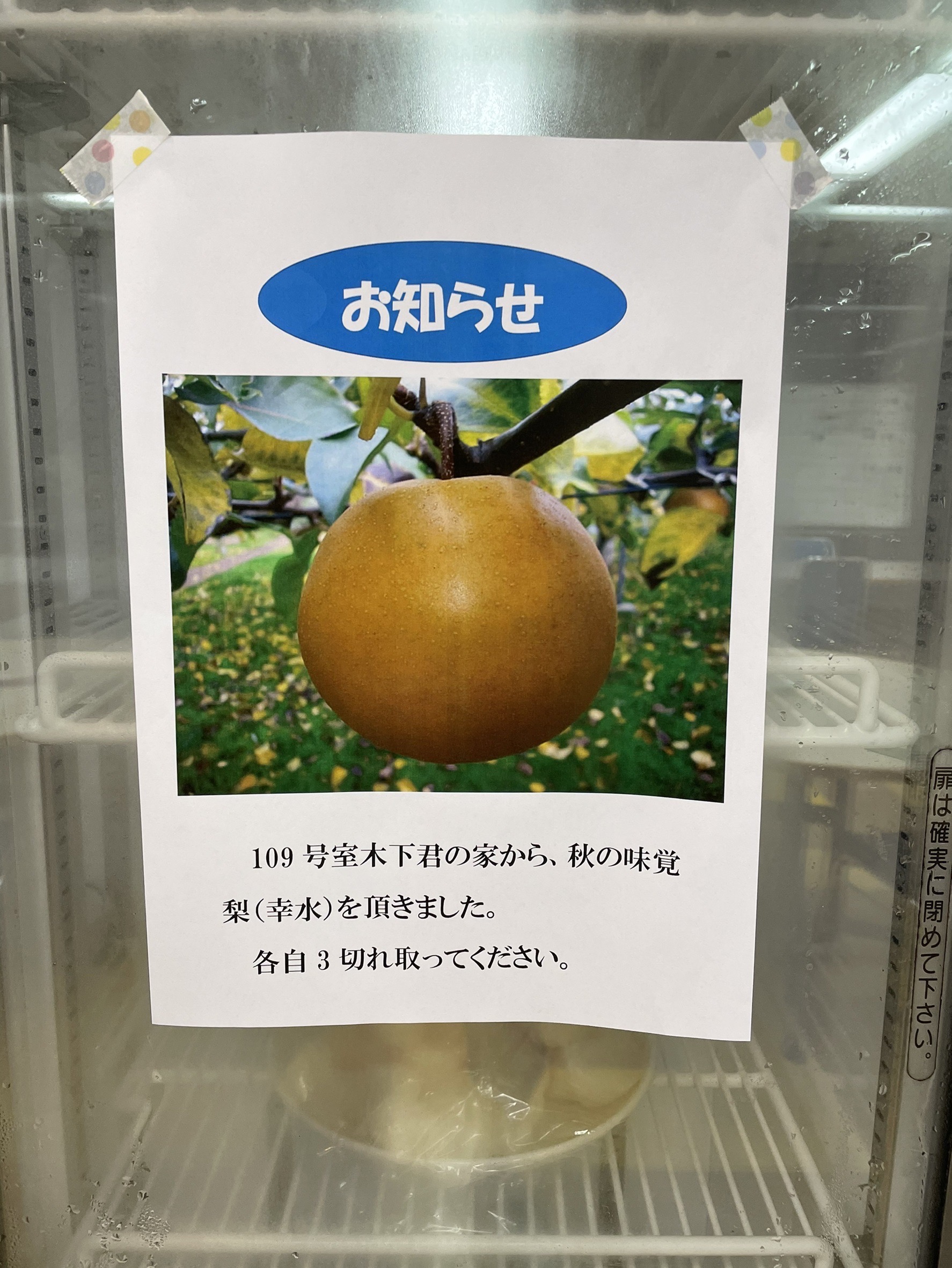 盛り付けられた梨