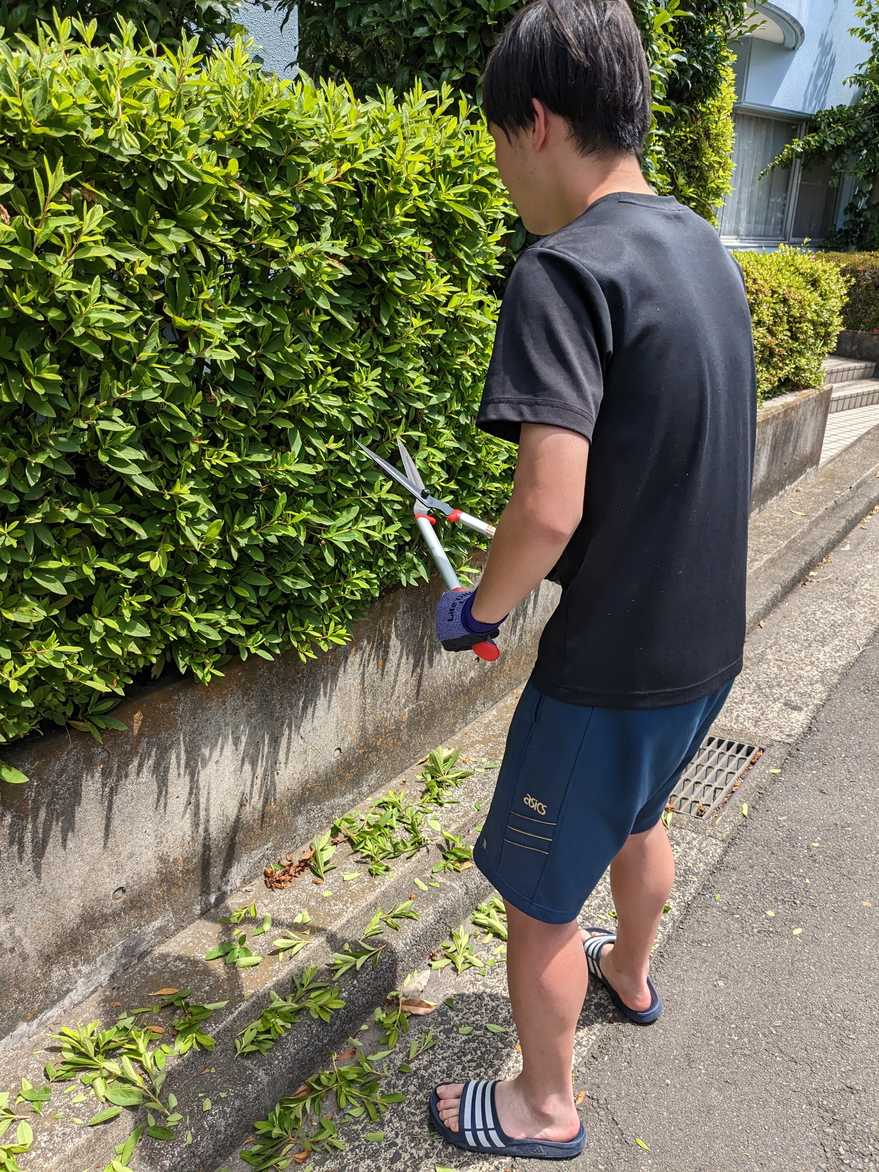 枝をチェックする寮生