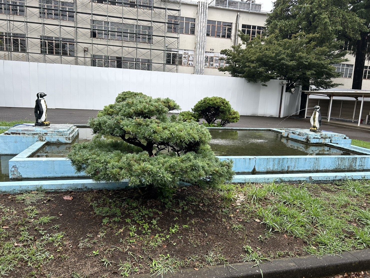 展示資料を見る寮生