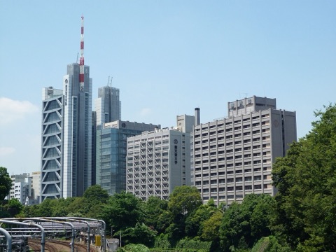 順天堂大学のキャンパス