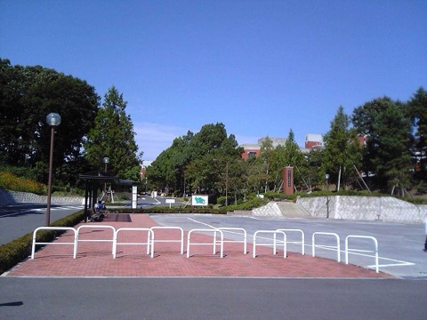 東京薬科大学のキャンパス